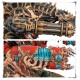 CHAOS SPACE MARINES: FORGEFIEND, Formidable Long-Range Daemon Engine